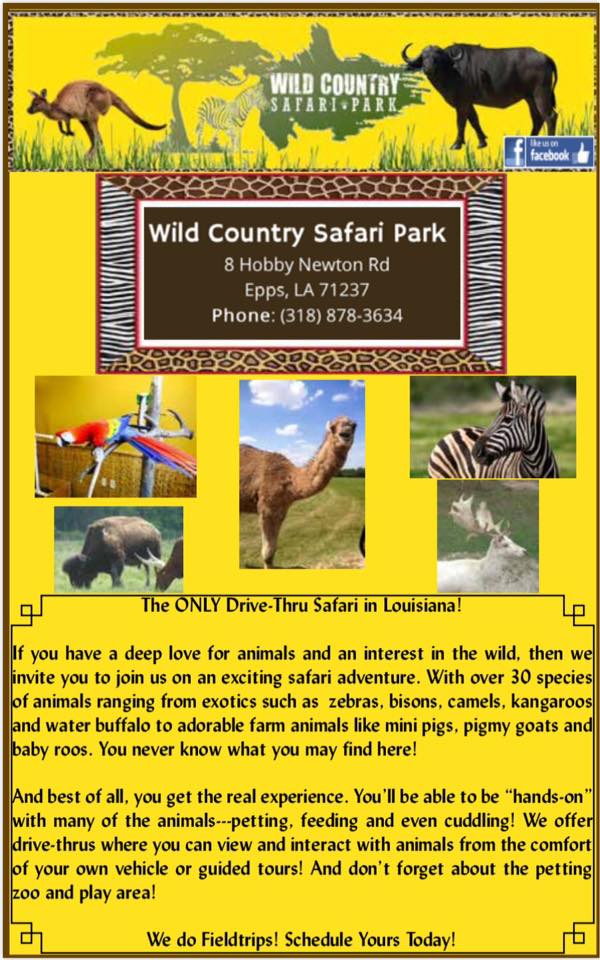 Wild Country Safari